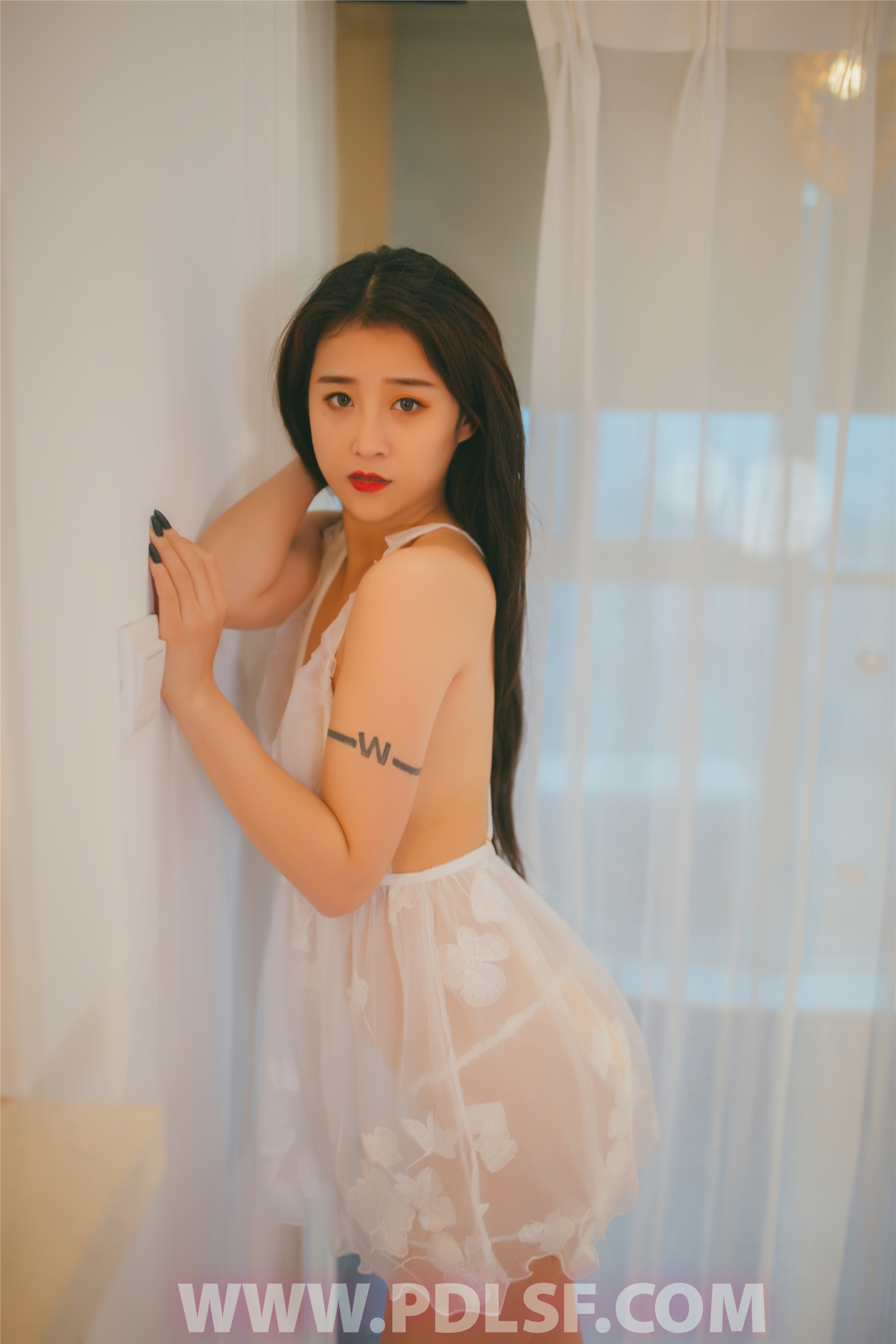 PDL潘多拉 2019.12.26 专辑No.258